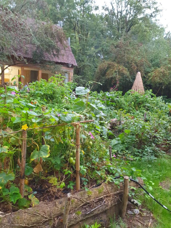 La Cabane Choussy Esterno foto